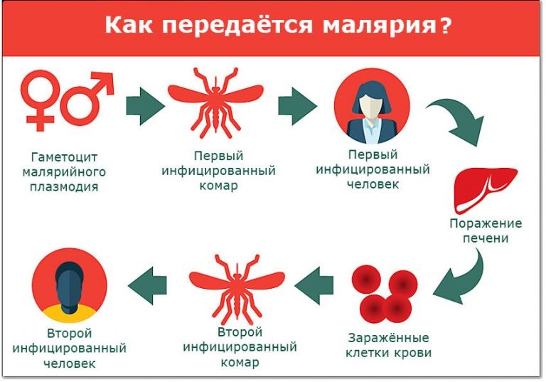 Сестринская помощь пациенту в каждом периоде лихорадки